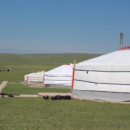Гостевой дом Nomad Horse Camp Nalayh Экстерьер фото