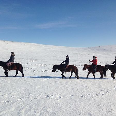 Гостевой дом Nomad Horse Camp Nalayh Экстерьер фото