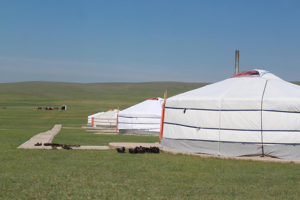 Гостевой дом Nomad Horse Camp Nalayh Экстерьер фото