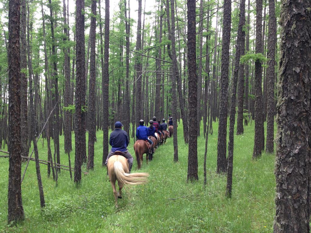 Гостевой дом Nomad Horse Camp Nalayh Экстерьер фото
