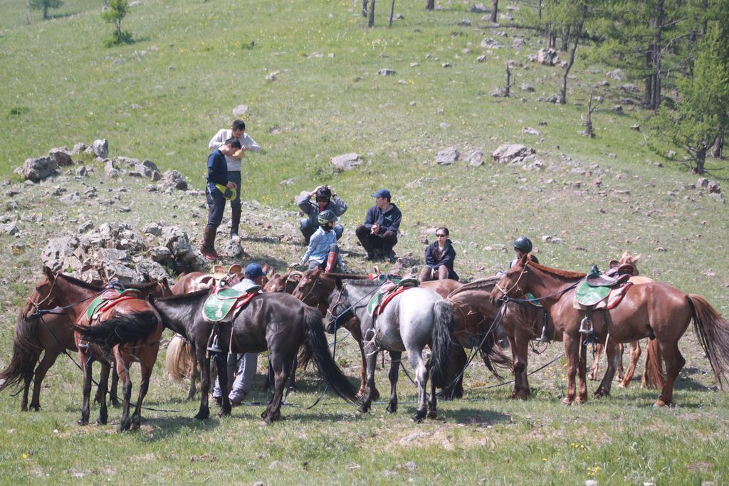 Гостевой дом Nomad Horse Camp Nalayh Экстерьер фото