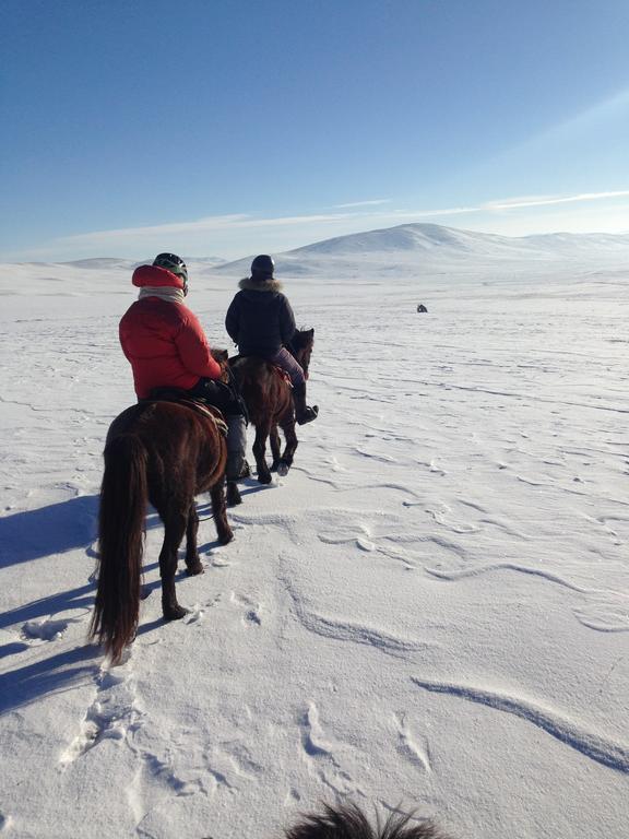 Гостевой дом Nomad Horse Camp Nalayh Экстерьер фото