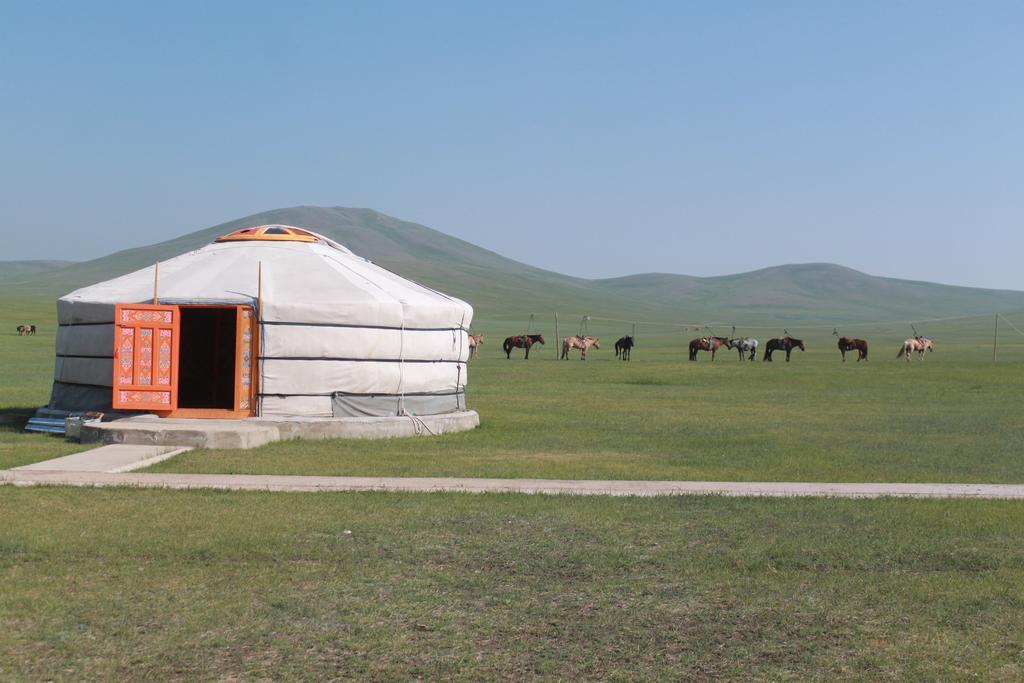 Гостевой дом Nomad Horse Camp Nalayh Экстерьер фото